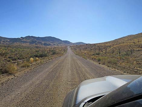 Ivanpah Road