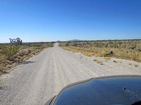 Ivanpah Road