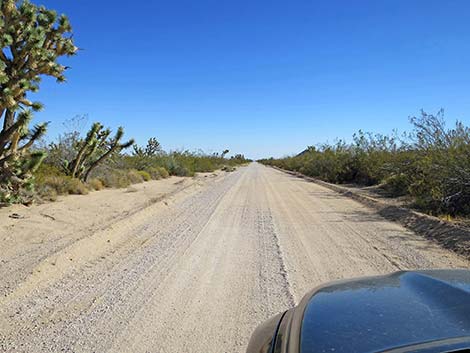 Ivanpah Road