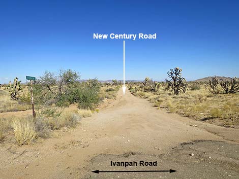 Ivanpah Road