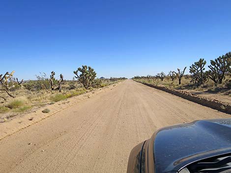 Ivanpah Road