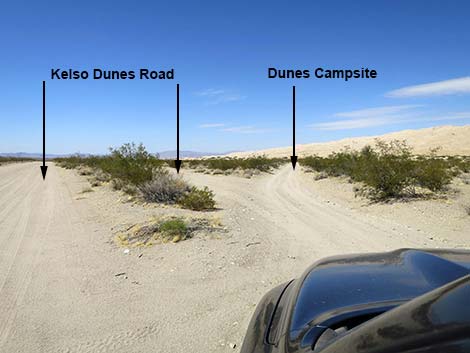 Kelso Dunes Road