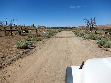 Wild Horse Road