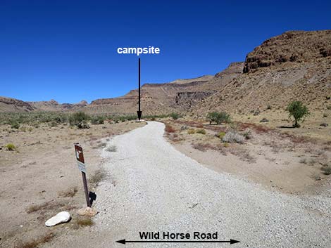 Wild Horse Road