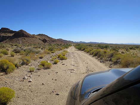 Wild Horse Road