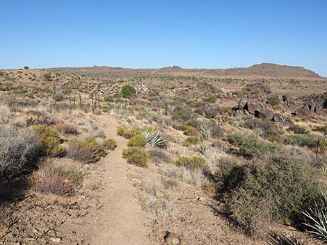 Rock Spring Loop Trail