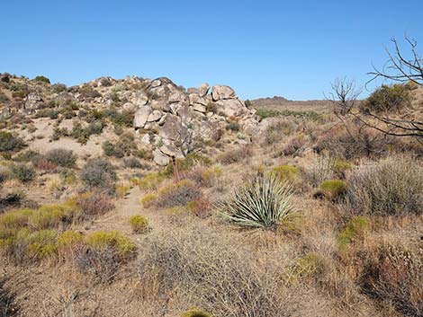 Rock Spring Loop Trail