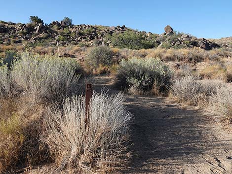 Rock Spring Loop Trail