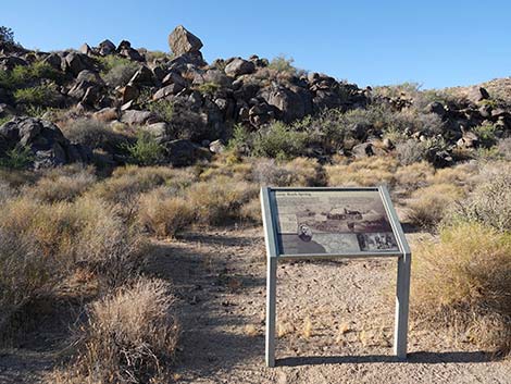 Rock Spring Loop Trail