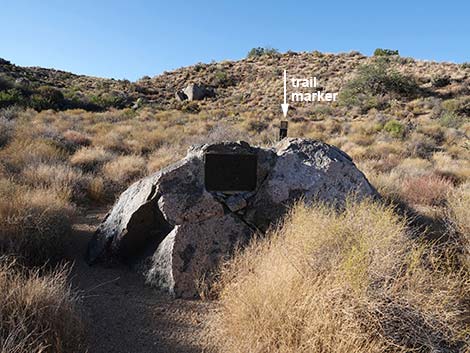 Rock Spring Loop Trail