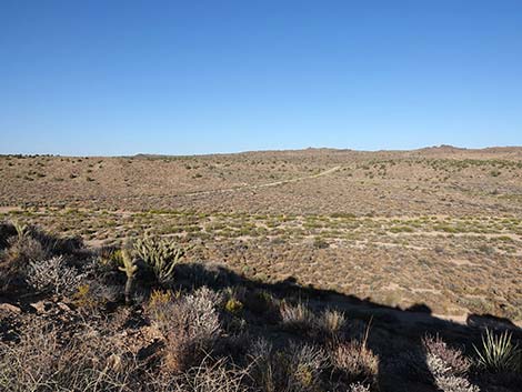 Rock Spring Loop Trail