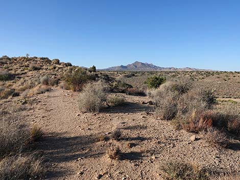 Rock Spring Loop Trail