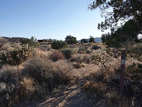 Rock Spring Loop Trail