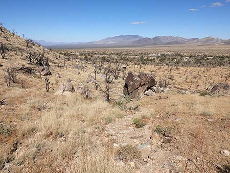 Teutonia Peak