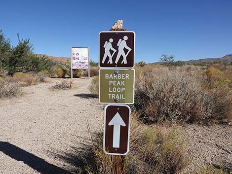 Barber Loop Trail