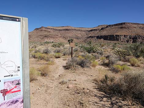 Wild Horse Trailhead