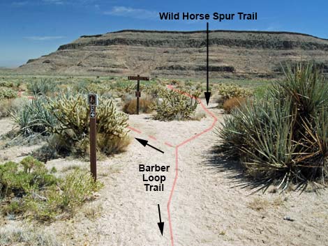 Wild Horse Spur Trail