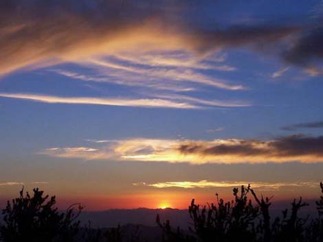 Bonanza Peak Trail