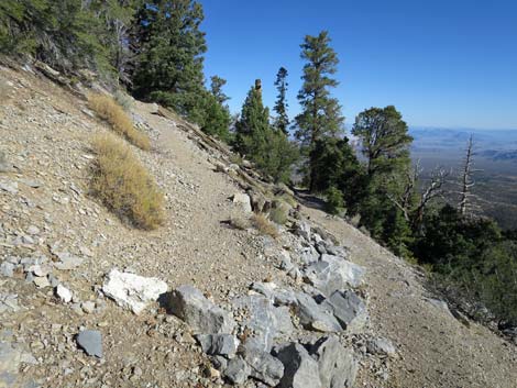 Bonanza Peak Trail