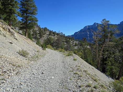 Bonanza Trail