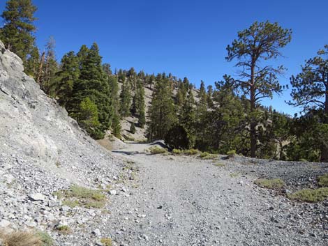 Bonanza Trail