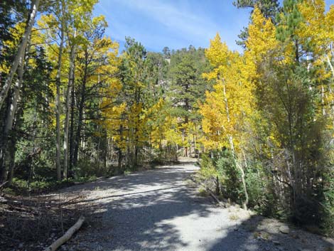 Bonanza Trail