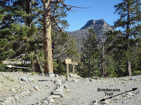 Bonanza Trail