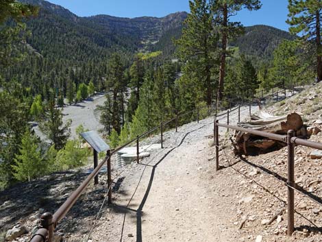 Bristlecone Trail