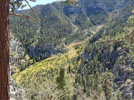 Cathedral Rock Trail