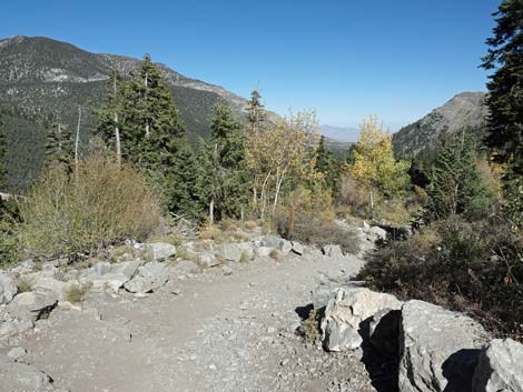 Cathedral Rock Trail