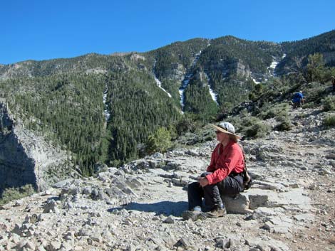 Cathedral Rock Trail