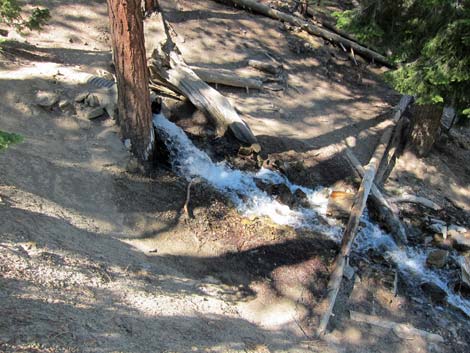 Cathedral Rock Trail