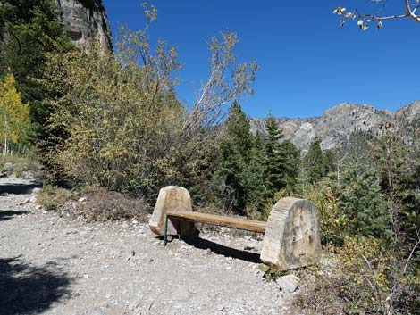 Cathedral Rock Trail