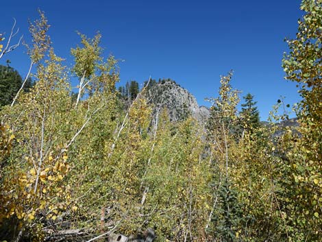 Cathedral Rock Trail