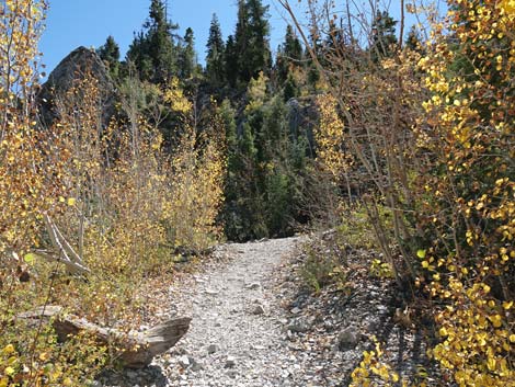 Cathedral Rock Trail