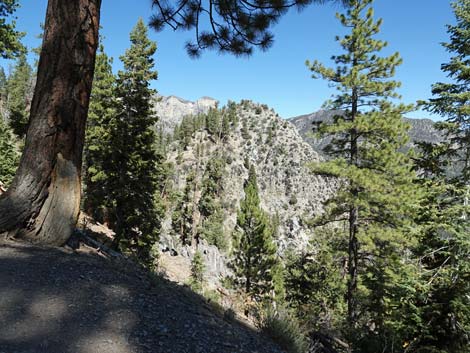 Cathedral Rock Trail