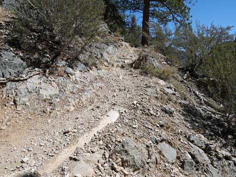 Cathedral Rock Trail