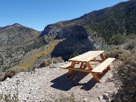 Cathedral Rock Trail