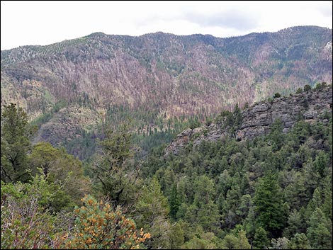 Eagle's Nest Loop Trail