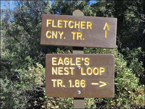 Eagle's Nest Loop Trail