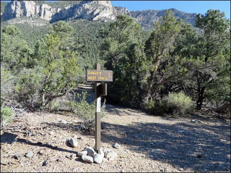 Eagle's Nest Loop Trail