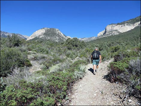 Eagle's Nest Loop Trail