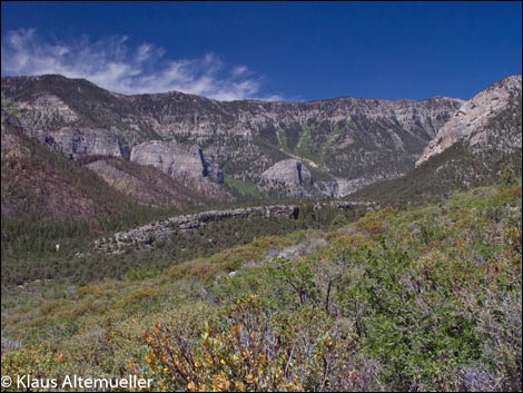 Eagle's Nest Loop Trail