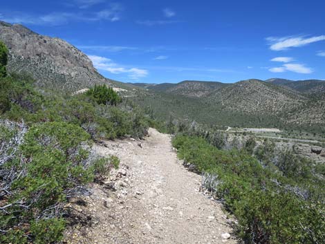 Escarpment Trail