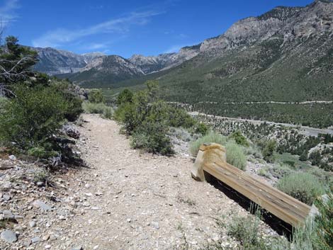 Escarpment Trail