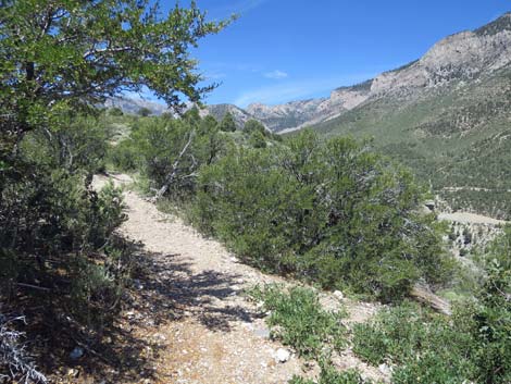 Escarpment Trail