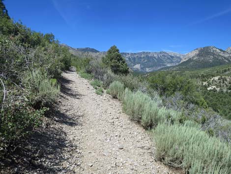 Escarpment Trail