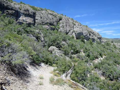 Escarpment Trail