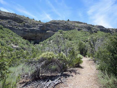 Escarpment Trail