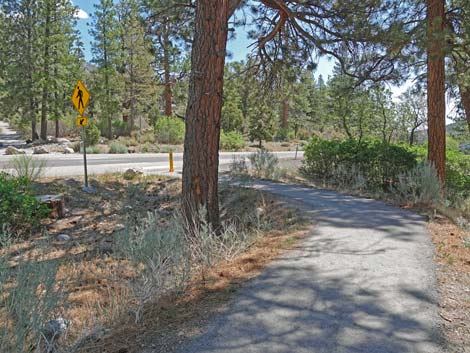 Fletcher Canyon Trail